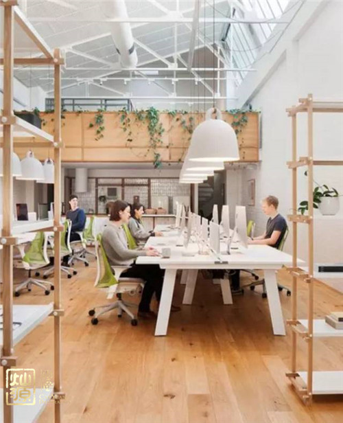自然系辦公室裝修 自然系辦公室裝修