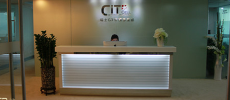 植物賦予辦公室裝修生命，選對植物讓辦公室更有意義