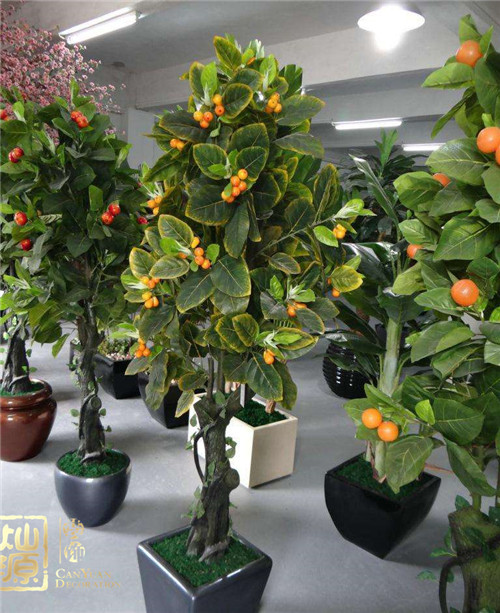 南寧辦公室裝修-橘樹 南寧辦公室裝修-橘樹