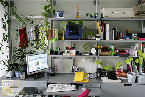 南寧辦公室裝修-綠色植物 南寧辦公室裝修-綠色植物