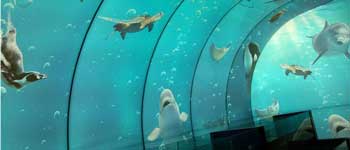 辦公室裝修可以任性到什么程度 你見(jiàn)過(guò)海底和空中的辦公室嗎？