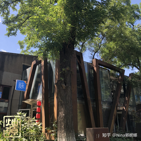 知乎F輪4.5億融資實錘 【多圖】探究知乎歷輪融資歷史及你不知道的知乎公司辦公室