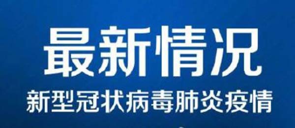 新型冠狀病毒肺炎疫情 新型冠狀病毒肺炎疫情